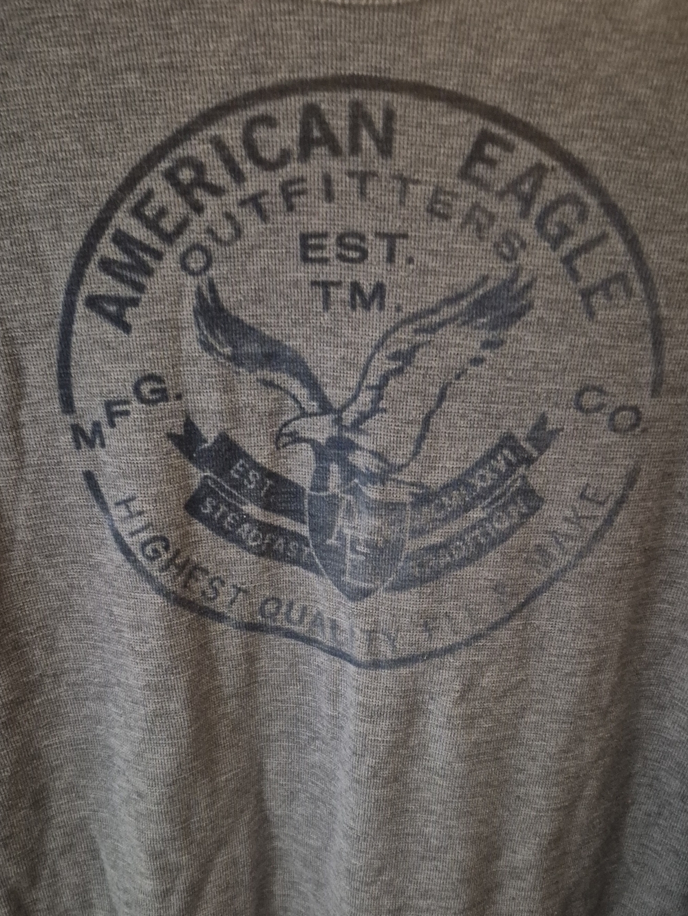 American Eagle Outfitters Heather Gray Long Sleeve Tee with Navy Eagle Logo